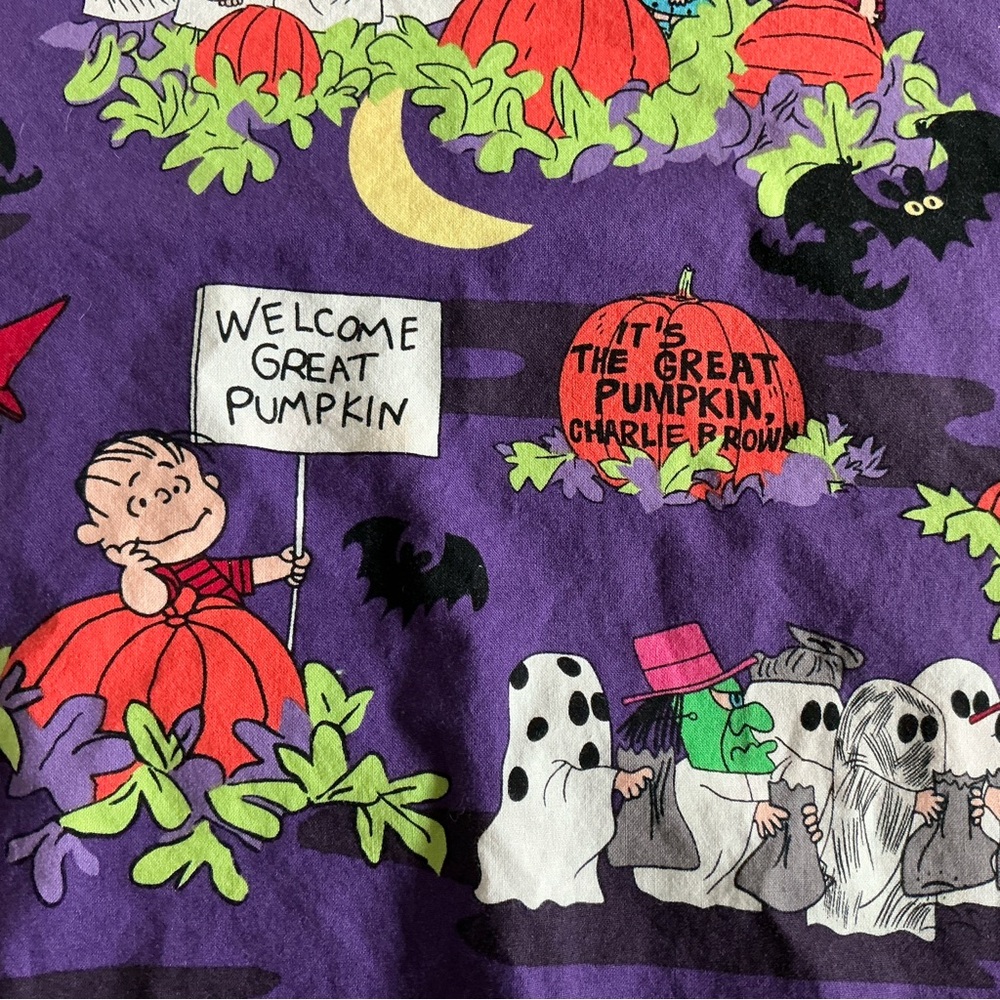 Halloween Scrub Top Lot Size XL Pooh Snoopy Peanuts Great Pumpkin Disney Unisex - Picture 10 of 16